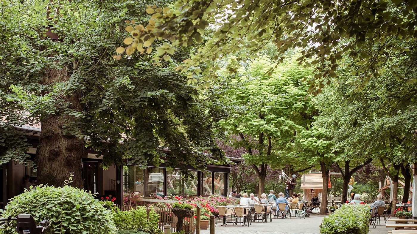 Het terras van de Melkerij in Peerdsbos bij Brasschaat onder hoge bomen, opnamelocatie van Discours.